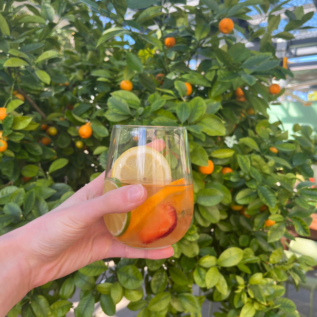 Sangria