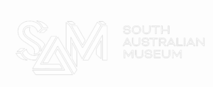 SA Museum Logo-2