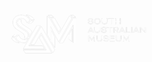 SA-Museum-Logo-2