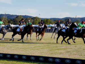 Blanco Catering creates delicious picnic hamper for Polo in the City