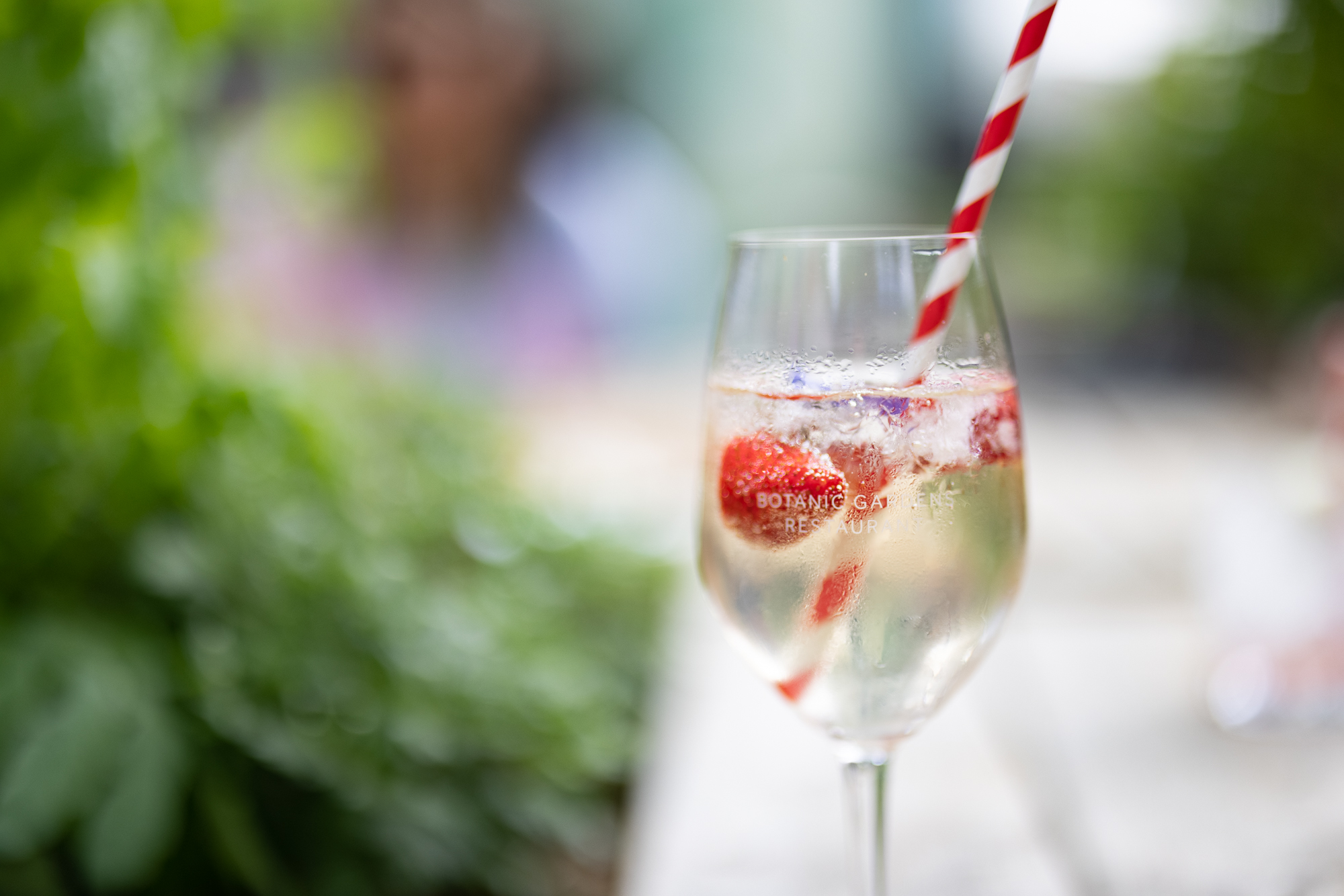 Summer Cocktail Summer Cocktail