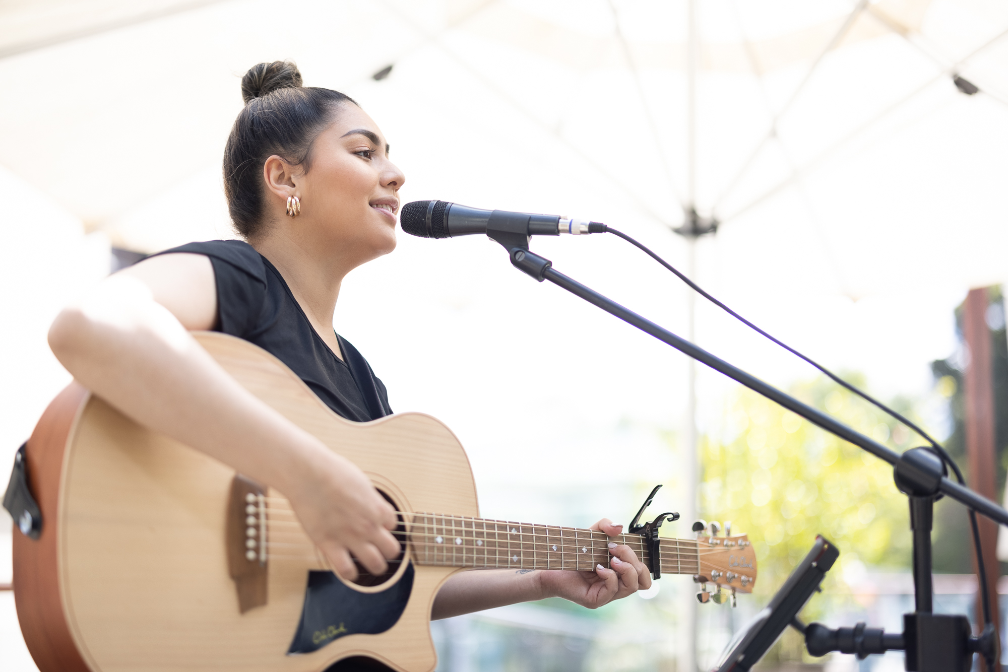 Artist performing at summer event