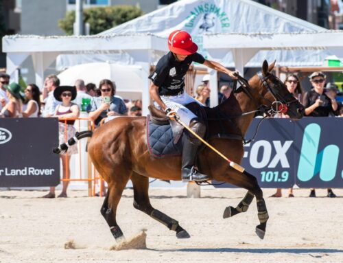 Australian Beach Polo