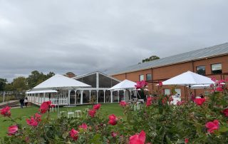 Roses in front of the marquee