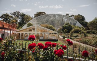 Marquee and the pavilion