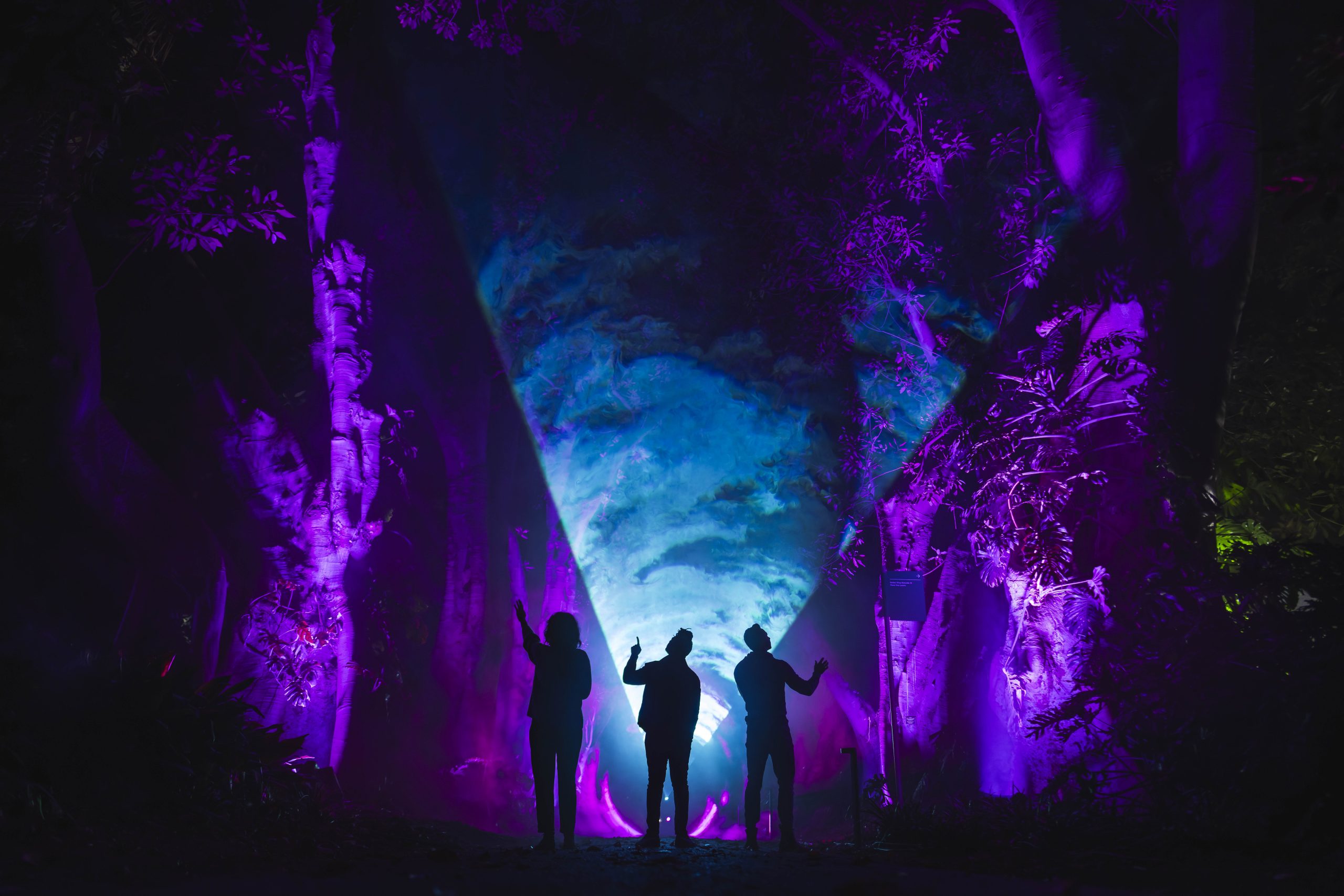 Night Visions Dining Experience @ Botanic Lodge